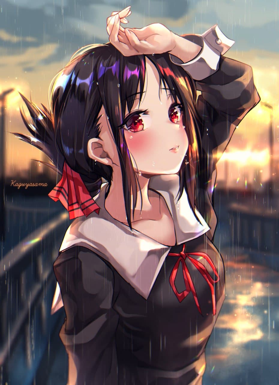 猪咪